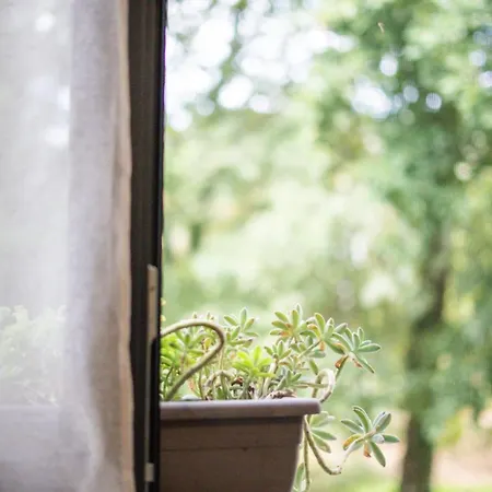 Sousa Horizonte - Louredo Апартаменты