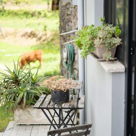 Апартаменты Sousa Horizonte - Louredo *