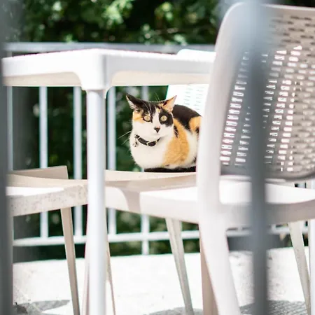 Апартаменты Sousa Horizonte - Louredo *