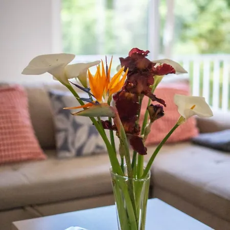 Апартаменты Sousa Horizonte - Louredo *