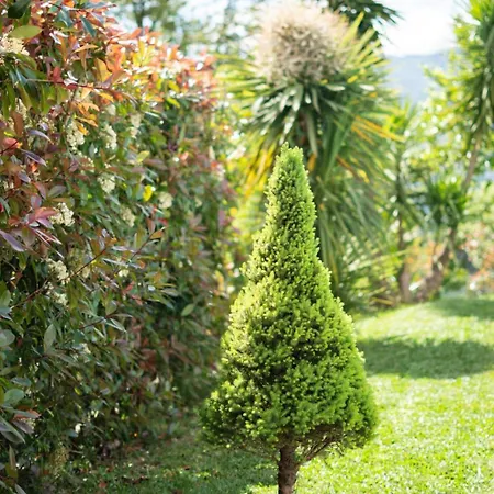 Апартаменты Sousa Horizonte - Louredo