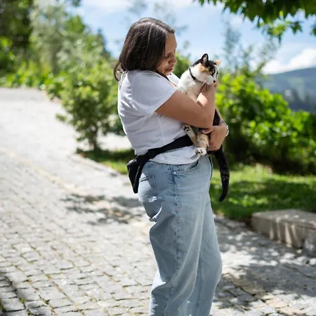 Апартаменты Sousa Horizonte - Louredo *