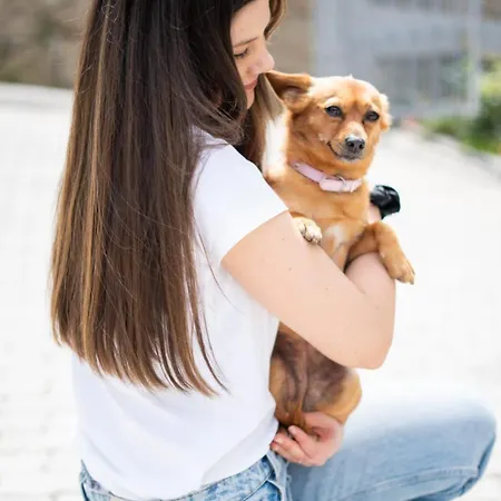 Апартаменты Sousa Horizonte - Louredo