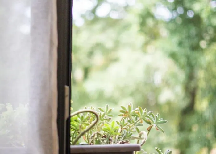 Sousa Horizonte - Louredo 아파트