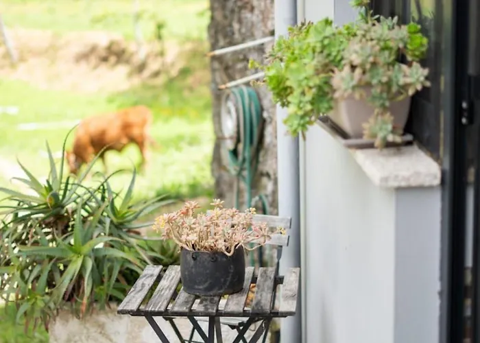 아파트 Sousa Horizonte - Louredo *