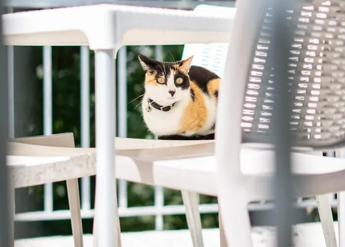 公寓 Sousa Horizonte - Louredo *