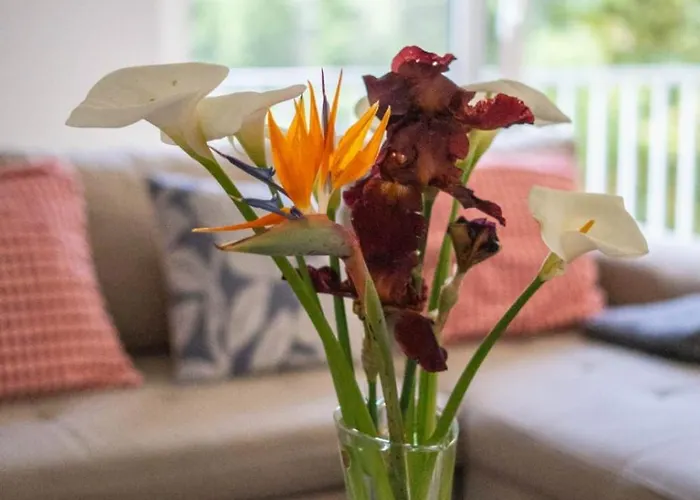 아파트 Sousa Horizonte - Louredo *