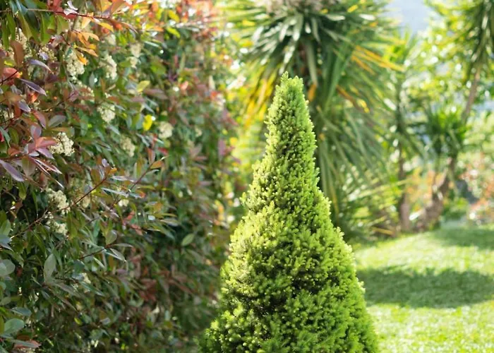 아파트 Sousa Horizonte - Louredo