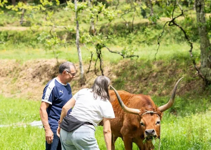 아파트 Sousa Horizonte - Louredo 비에이라도미노