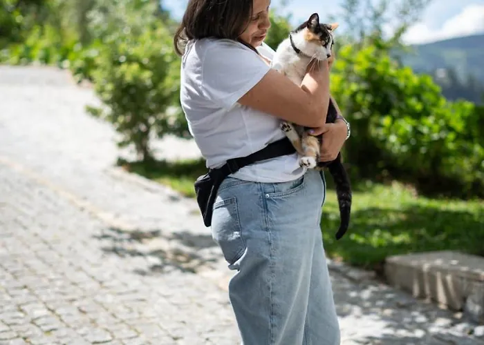 公寓 Sousa Horizonte - Louredo *