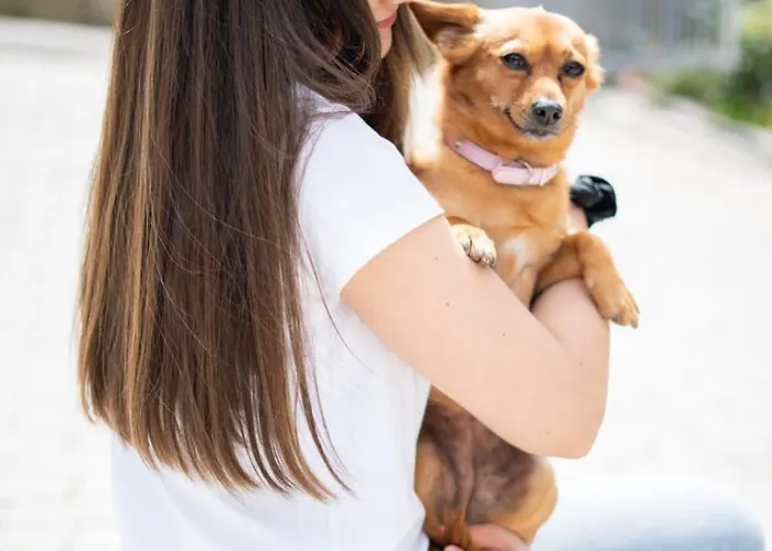 公寓 Sousa Horizonte - Louredo